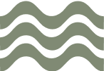 Waves Icon